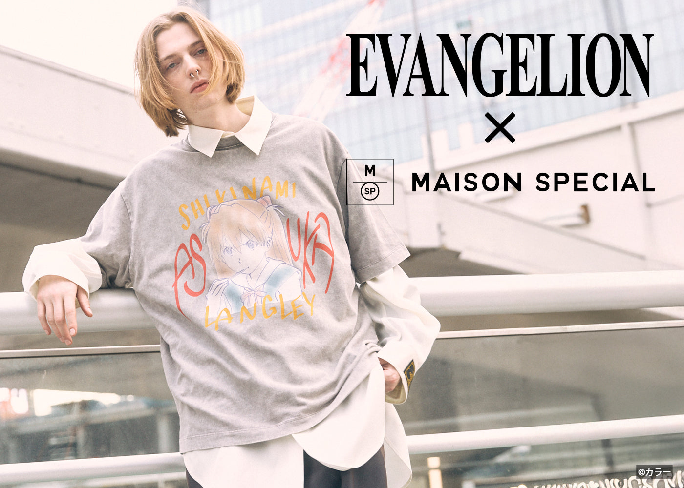 Maison special limited edition 本日最終 LIMITED EDITION