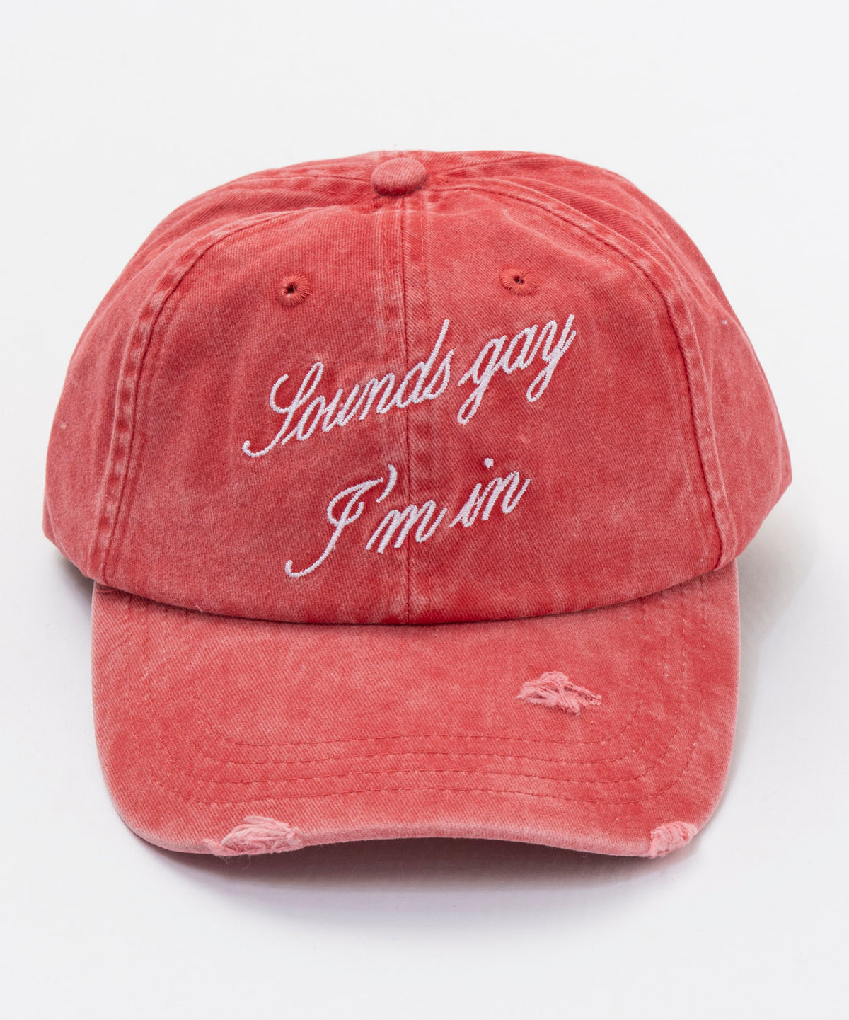 【Carne Bollente】Did You Say Gay?