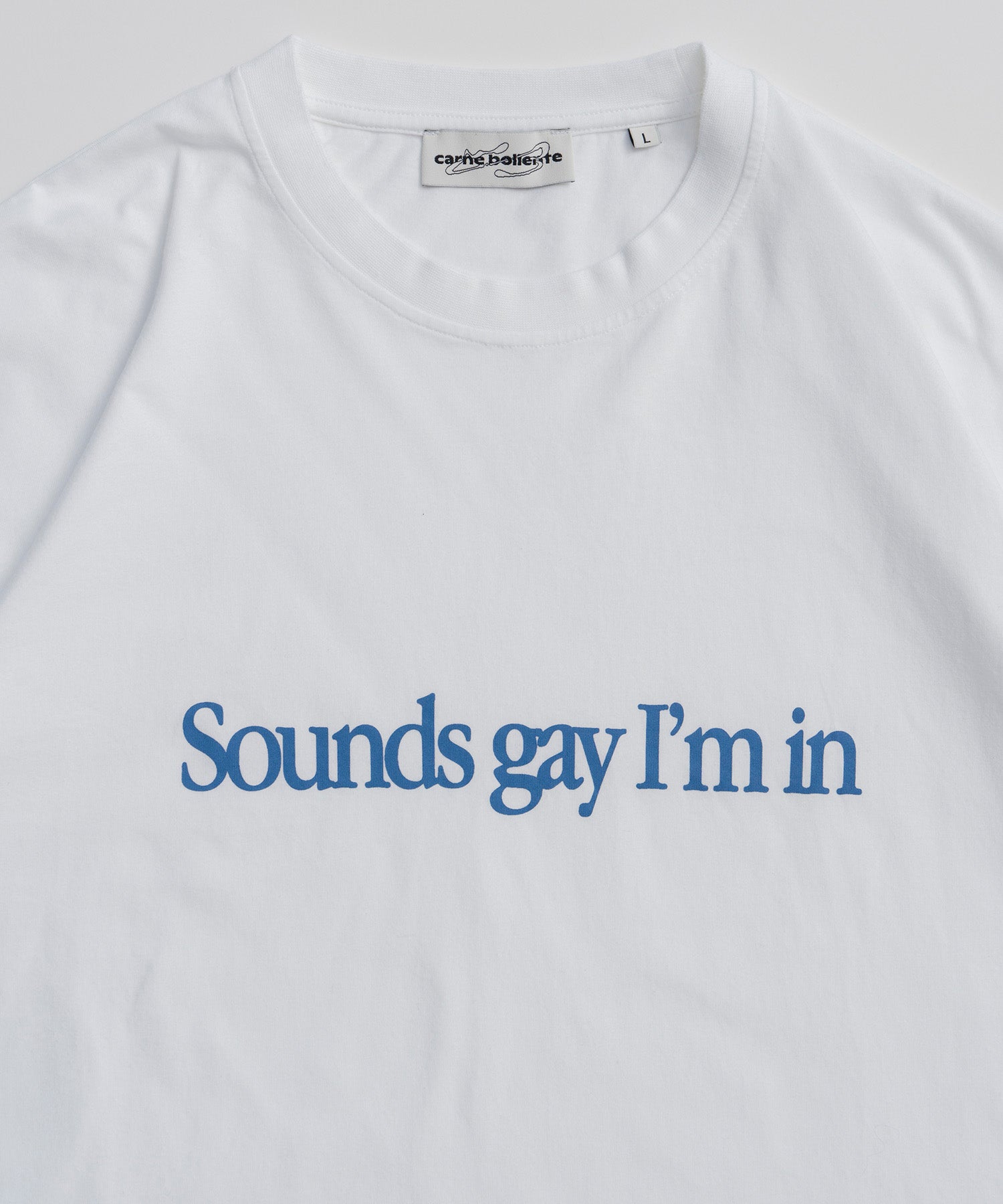 【Carne Bollente】Simply Sounds Gay