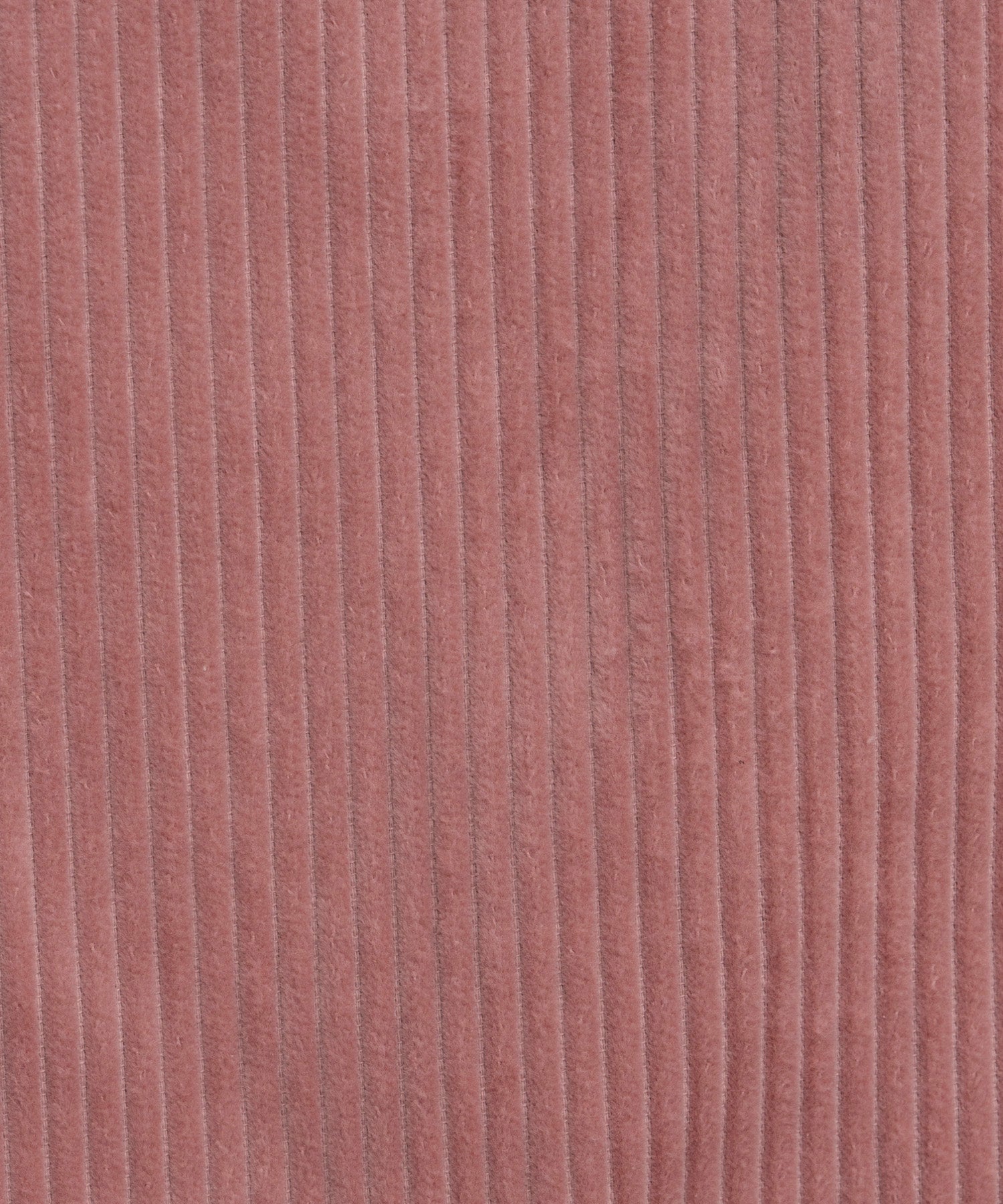 【26AUTUMN PRE-ORDER】Color Corduroy Pants
