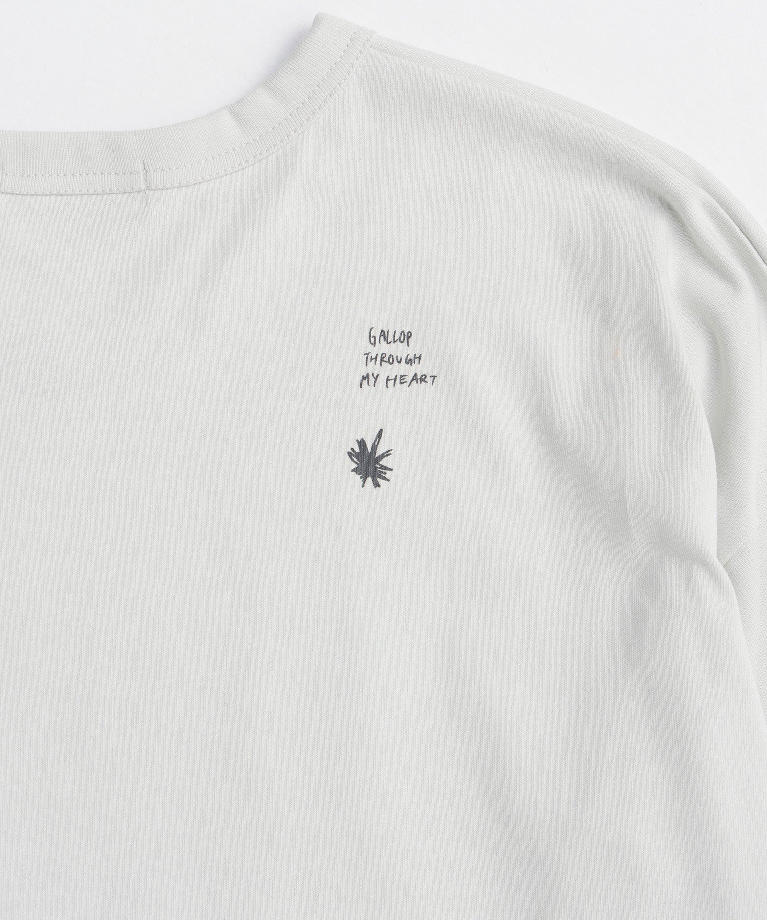 【2026Horse Collection】Horse long T-shirt