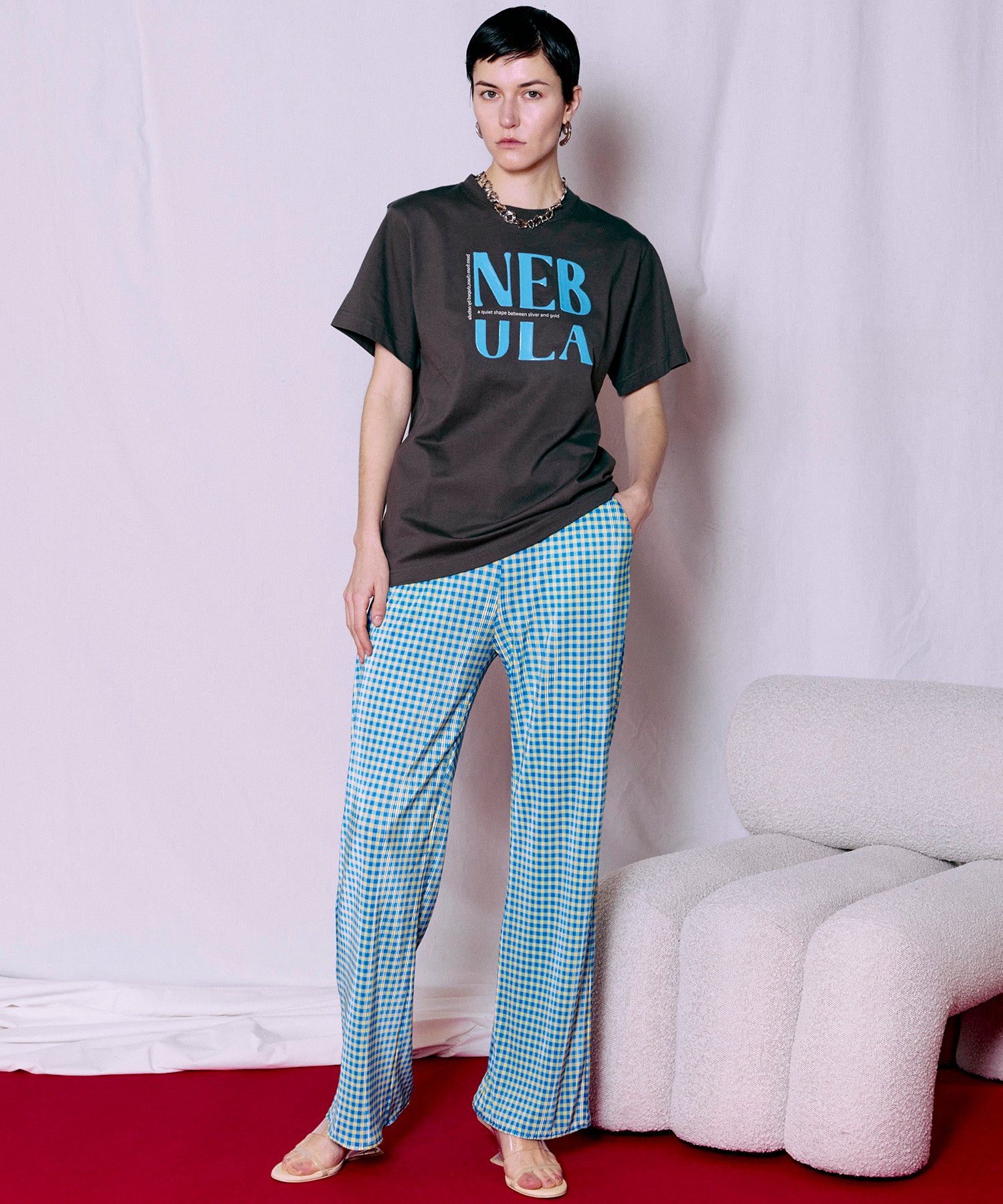 Check Pleated Pants