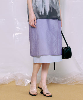 Sheer Layered Color Skirt