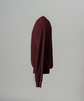【26AW PRE-ORDER】ネップリブニットプライムオーバーVネックトップス